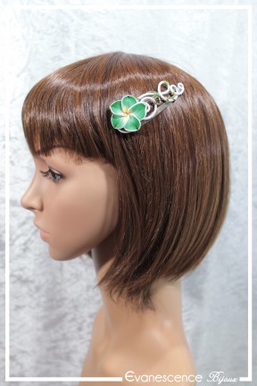 barrette-en-aluminium-marge-couleur-blanc-et-vert-portee